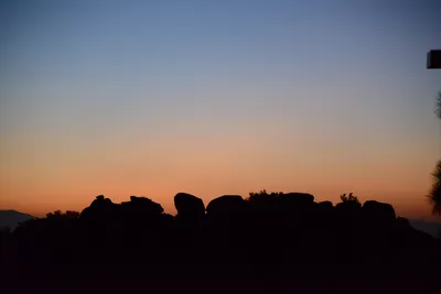 DSC_8931 (Large).JPG